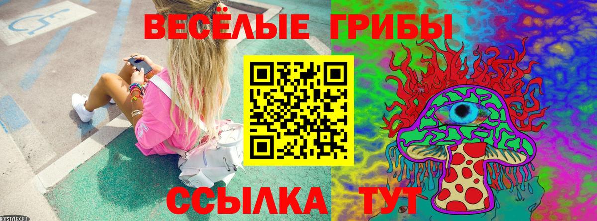 что такое наркотик  Галлюциногенные грибы мицелий  Вход с VPN  Качканар  Псилоцибиновые грибы ЛСД 