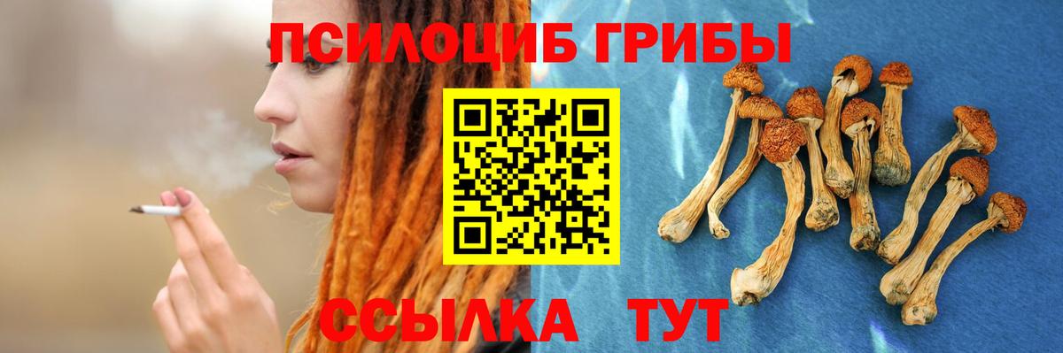 Галлюциногенные грибы GOLDEN TEACHER Качканар